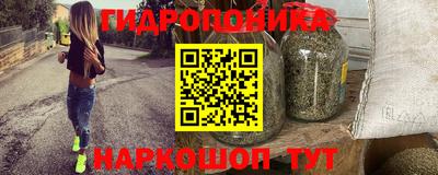 меф Кингисепп