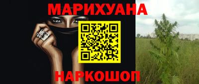 spice Кинель