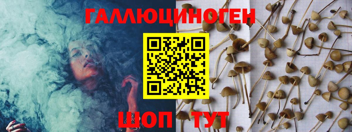 купить   Псилоцибиновые грибы Psilocybe  Вход с VPN  Краснознаменск  Галлюциногенные грибы мухоморы 